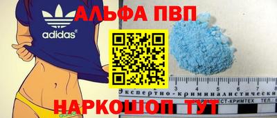 бошки Кингисепп