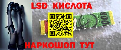 бошки Кингисепп