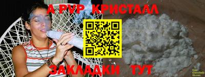 бошки Кингисепп