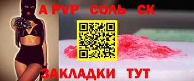 бошки Кингисепп